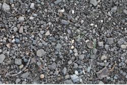 Photo of Various Textures